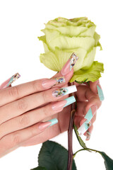 Wall Mural - Hands with long artificial French manicured nails colored with white and turquoise blue nail polish and green rose flower. White background.