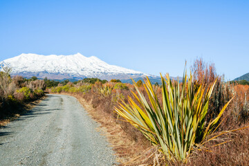 Poster - Mount Ruapehu snow capped under blue sky in wide landscape