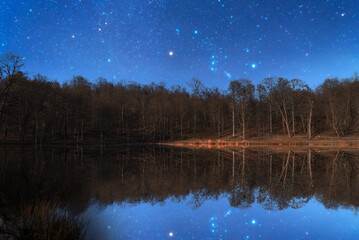 Wall Mural - Beautiful night forest landscpe with reflection trees in water and option on the sky.