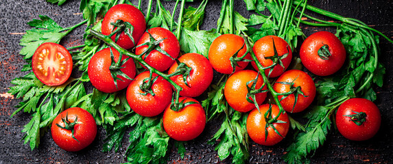 Fresh tomatoes on a branch with parsley. 