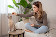 © Julija - Young female owner stroking and training her pet at home. Adorable shorthair cat be feed by owner in living room. Human and pet relation domestic lifestyle concept