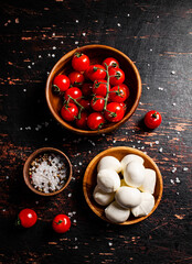 Poster - Mozzarella cheese with tomatoes and spices in bowls on the table.