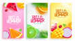 Summer set vector poster design. Hello summer text with tropical fruits lay out background. Vector illustration holiday season banner, flyers and ads collection. 