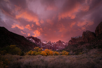 Wall Mural - Sunset over Zion National Park