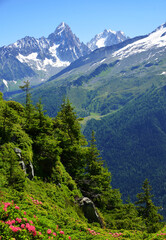 Wall Mural - summer mountain landscape. mount aiguille du chardonnet and aiguille d'argentiere, nature reserve ai