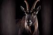 Portrait of an alpine ibex on a black background. generative ai