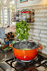 Wall Mural - Chef blanched bunch of basil in simmering pot