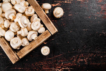 Wall Mural - Mushrooms on a wooden tray. 