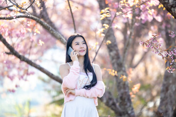 Wall Mural - Beautiful woman using smartphone, talking, typing message, chatting, scrolling web page on mobile phone under the pink blossoms cherry tree. Woman selfie and look at camera on sakura background.