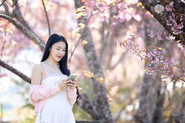 Wall Mural - Beautiful woman using smartphone, talking, typing message, chatting, scrolling web page on mobile phone under the pink blossoms cherry tree. Woman selfie and look at camera on sakura background.