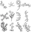 vector set of botanical leaf doodle wildflower line art isolate on white background 