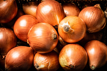 Poster - Fresh whole onions. Macro background.