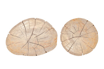 Tree stump or tree trunk  isolated on white background , clipping path included for design.