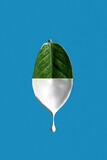 Fototapeta  - The levitating leaf of the plant is half painted white. Paint dripping down. The concept of cosmetic natural creams