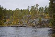 Forested shore in Forsaleden in fall colors