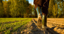 Close-up Of A Farmer's Feet In Rubber Boots Walking Down A Farmer Field  Dust Rising From Shoes. Low Angle. One Part Is Sown, The Second Part Is Not Sown.