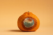 Concept of stop food waste day. Moldy spoilage food. Rottan moldy fruit. Mould, mildew covered mandarine. Stop wasting food