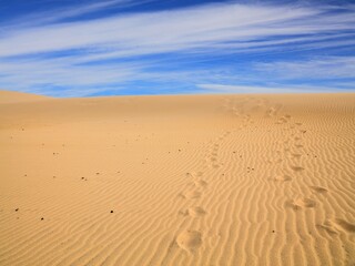 Canvas Print - Taboga Dunes in Morocco