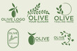 © irfan - olive branch logo design with 6 options