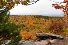 Autumn View In Mount Greylock State Reservation