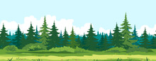 Path Along Spruce Forest With Big Green Trees Game Background Tillable Horizontally, Tourist Route Near The Dense Spruce Forest And Bushes In Summer Sunny Day Nature Illustration Background