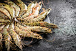 Fresh raw shrimp on a round stone board. 