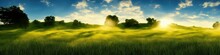 Panoramic Image Of A Grassy Field Outdoors On A Sunny Afternoon Day During The Summer Season. Generative AI Image