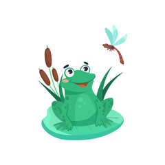 Wall Mural - comic frog looking at dragonfly and smiling vector illustration. funny aquatic animal cartoon charac