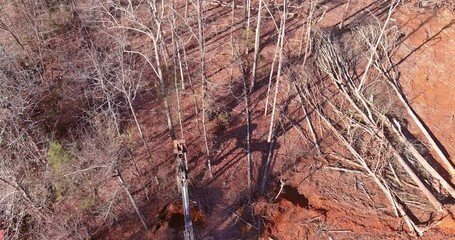 Wall Mural - It was necessary to clear land of uprooted trees around subdivision housing development in construction site using tractor skid steers