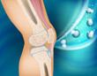 The concept of vitamins therapy for the healthy knee joint. Knee bone human anatomy.