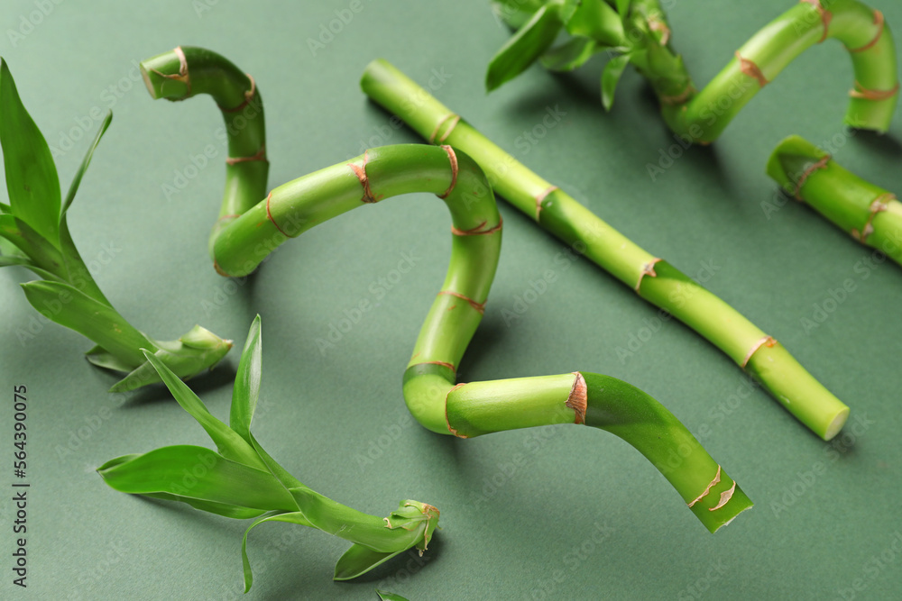 Composition with fresh bamboo stems on green background, closeup