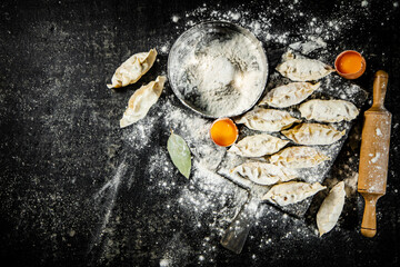 Sticker - Raw dumplings gyoza on a cutting board with eggs and flour. 