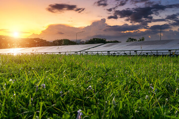 Wall Mural - Photovoltaic modules solar power plant on dramatic sunset sky background,clean Alternative power energy concept.