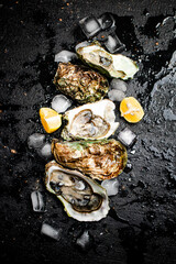 Poster - Oysters with lemon and ice cubes. 