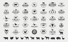 Vector Set Of Signs, Stamps And Logos Of Farm Animals. 12 Farm Animals Silhouettes. Cow, Chicken, Pig, Lamb, Horse, Duck, Turkey, Goat. 35 Animals Logo Designs.	