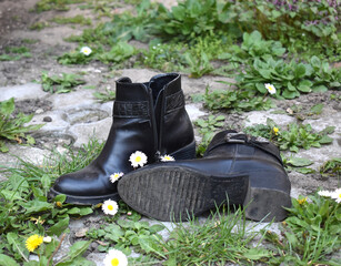 Dusty black short boots lost in grass and flowers