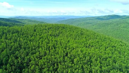 Wall Mural - Aerial shot panning forward over endless green mountains under the blue sky, beautiful landscape