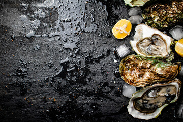 Sticker - Oysters with lemon and ice cubes. 