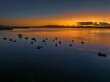 © Merrillie - Aerial sunrise waterscape over the bay with boats