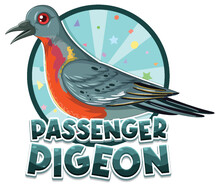 Passenger Pigeon Extinction Bird