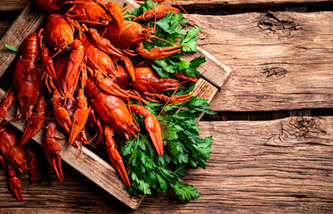 Wall Mural - Boiled crayfish with parsley on the tray. 