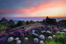 Beautiful Scenery During Sunrise Of Huai Nam Dang National Park At Chiang Mai In Thailand.	