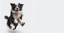 Happy Running  Black And White Border Collie Dog  Made With Generative AI