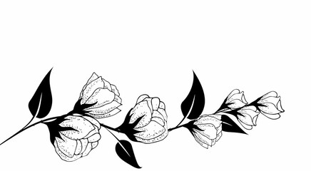 Wall Mural - Floral composition, floral background with tender flowers and branches of buds. Hand drawing. For stylized decor, invitations, postcards, posters, cards, backgrounds, as clipart or coloring page.