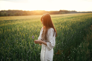 Poster - Woman relaxing in wheat field in warm sunset light. Stylish young female in rustic dress holding wildflowers in hands in evening summer countryside. Tranquil atmospheric moment