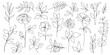 Vector set of hand drawn, single continuous line flowers, plants, leaves. Art floral elements. Use for t-shirt prints, logos, cosmetics and beauty design elements.