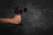 hand holding red dry withered roses on a black background flowers. Disappointed with love, sad valentine concept.