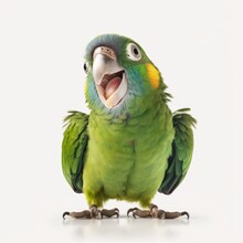 Closeup Portrait Of A Colorful Joyful Parrot Smiling And Laughing, Generative Ai
