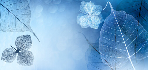 Leaf with veins and cells macro photography