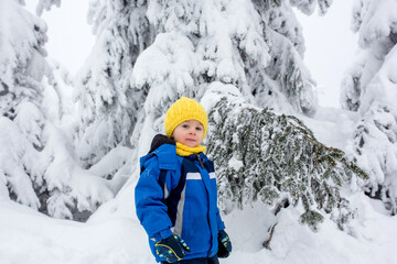 Poster - Sweet happy child, playing in deep snow